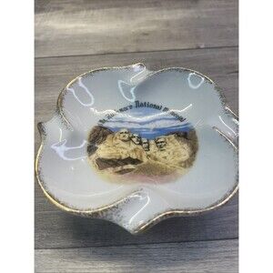 Mid Century Vintage Porcelain Mount Rushmore SD Souvenir Ashtray Dish 5"